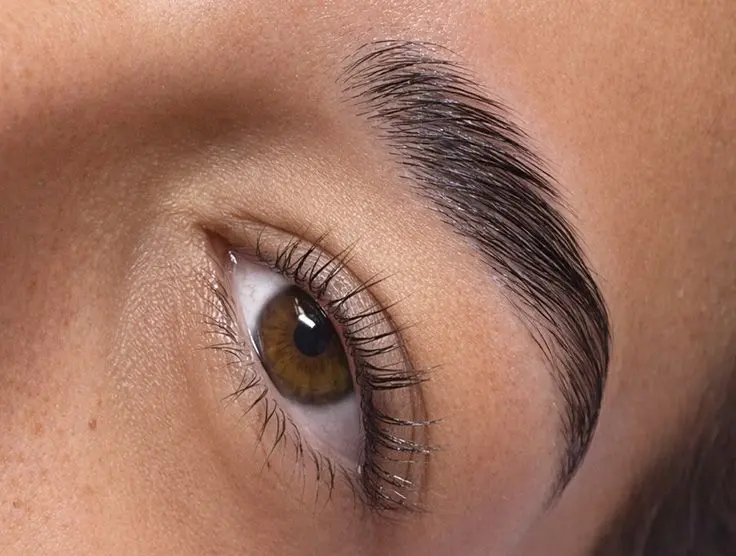 Laminado de Cejas